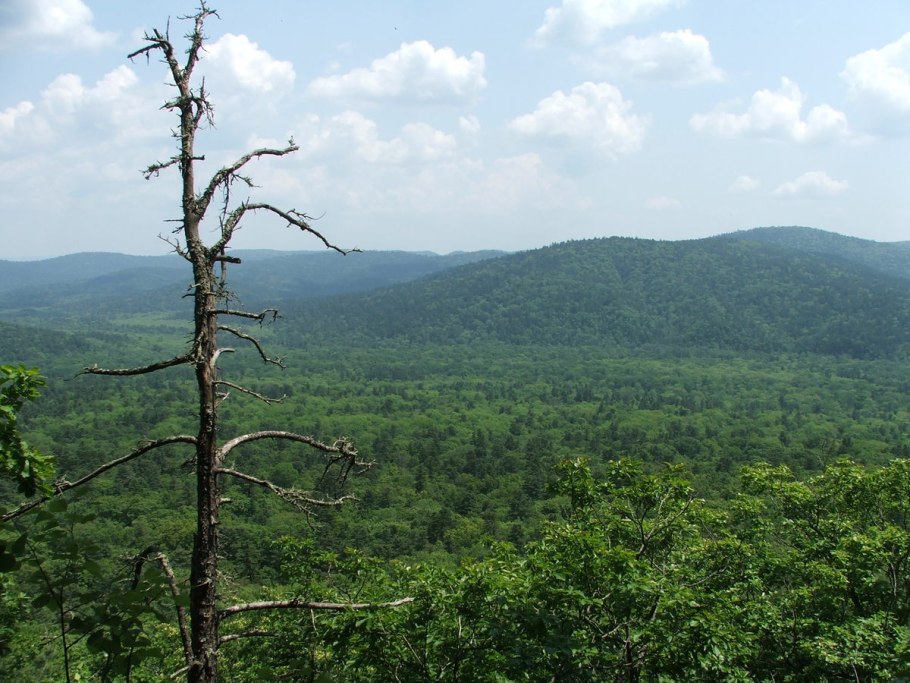 Плато Путорана природа