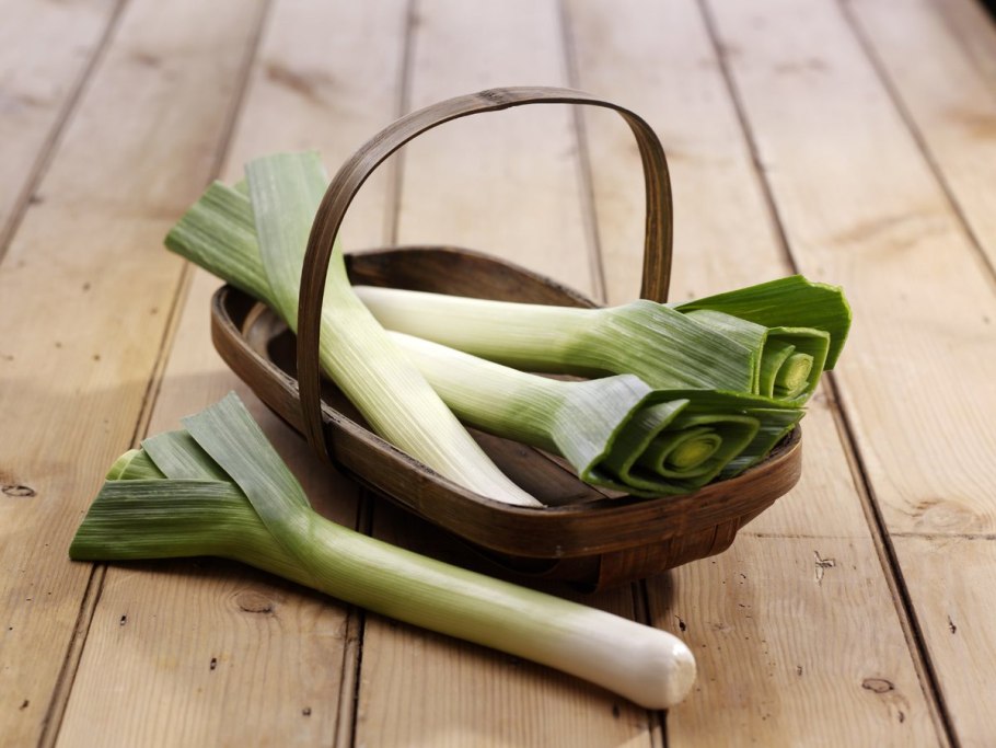 Leek перевод