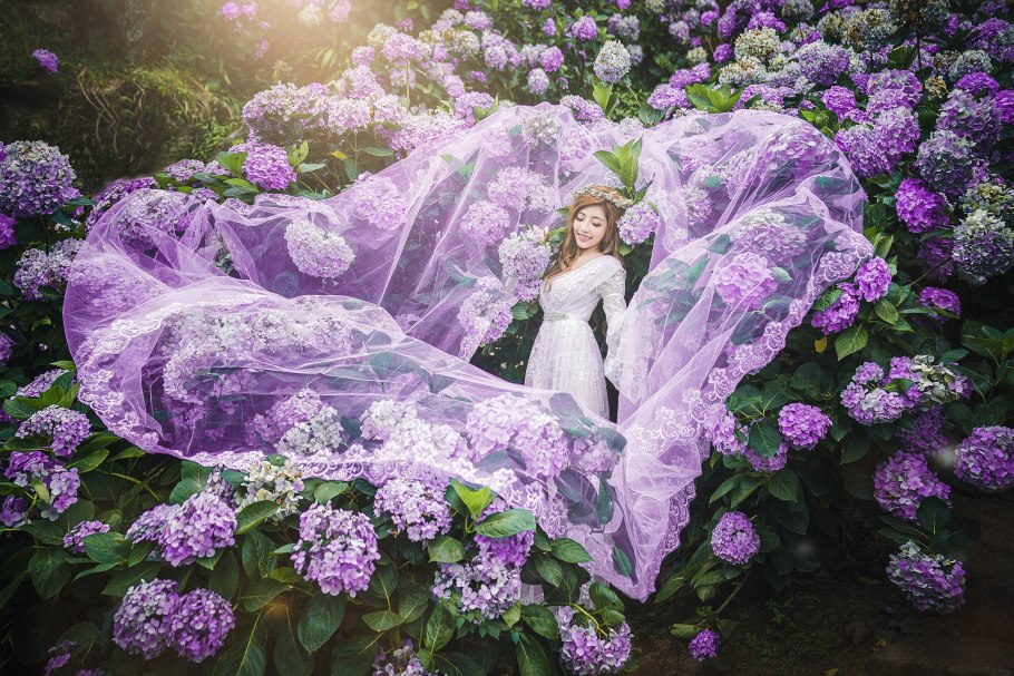 French Bolero гортензия