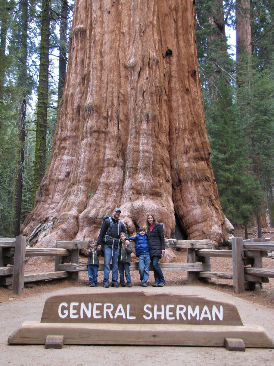 Секвойя Титан дель Норте