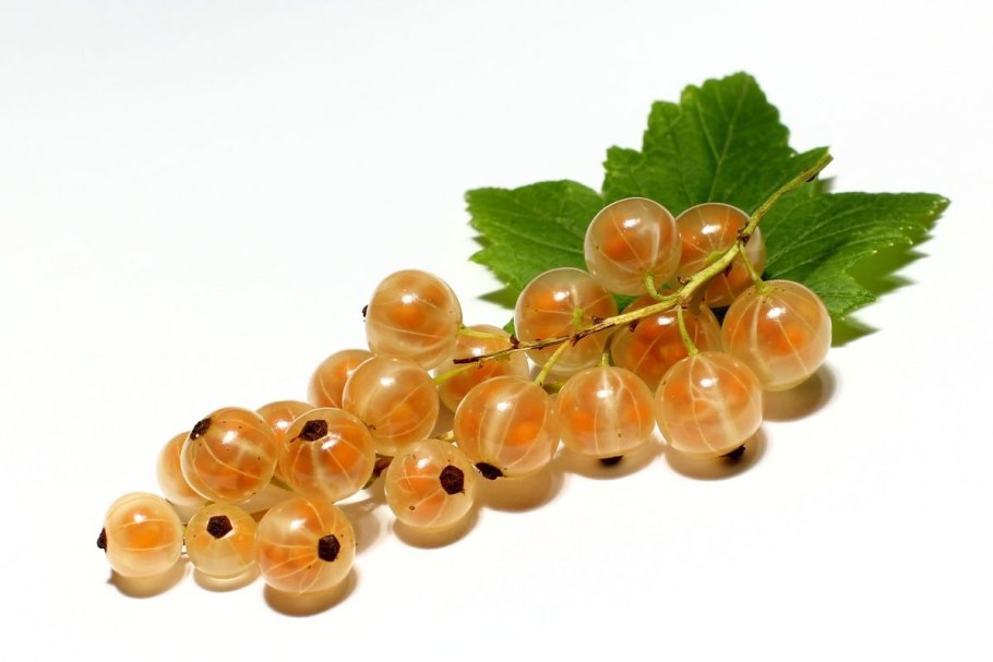 Смородина White Currants