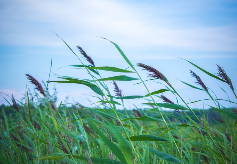 Низкое солнце и сильный ветер