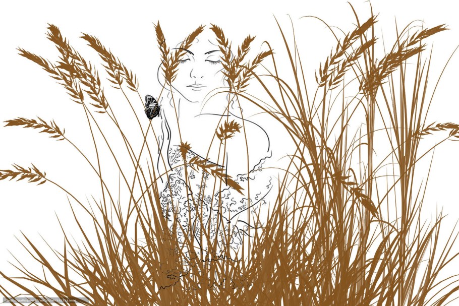 Травянистый берег