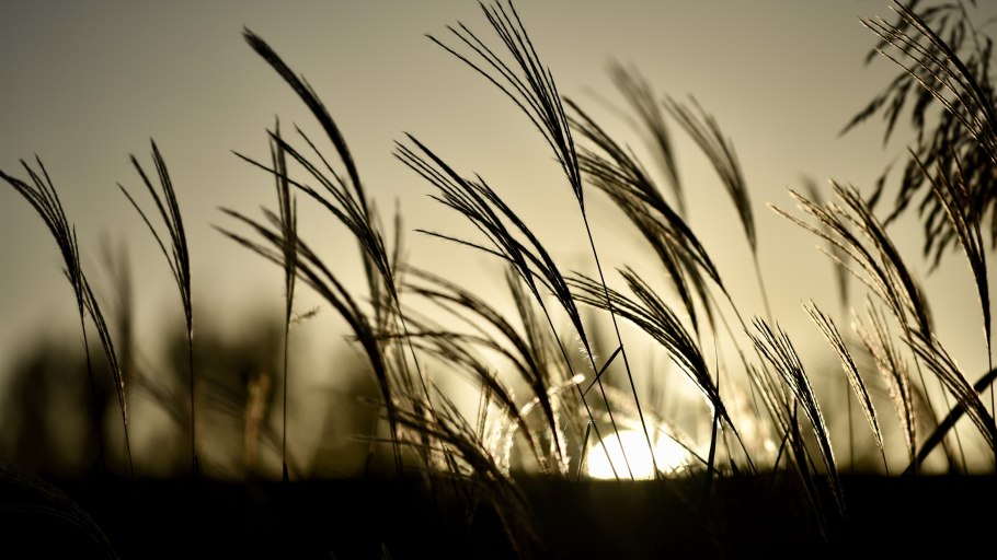 Gilbert Garcin – фотограф
