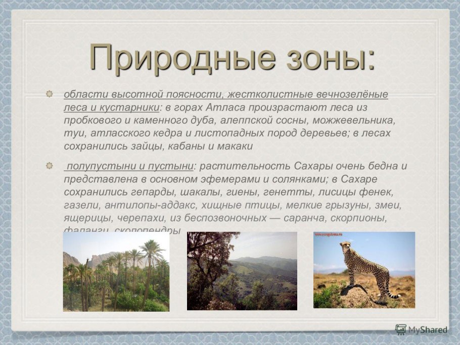 Высотная поясность Атласских гор