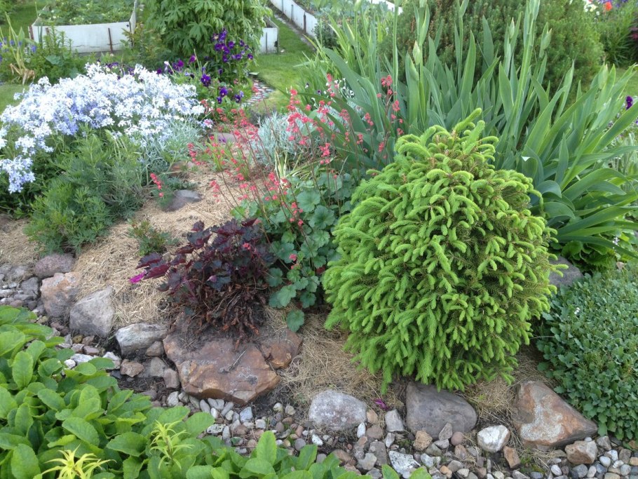 Мульча для туи Смарагд