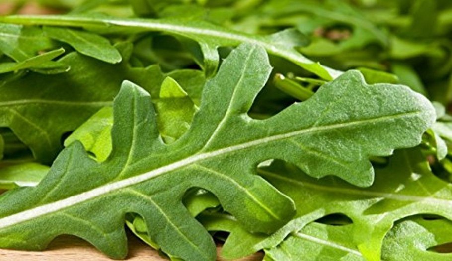 Капуста кудрявая Кейл