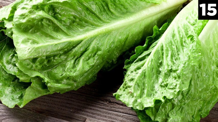 Крестоцветные брокколи