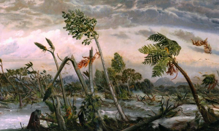 Древние папоротники Девон