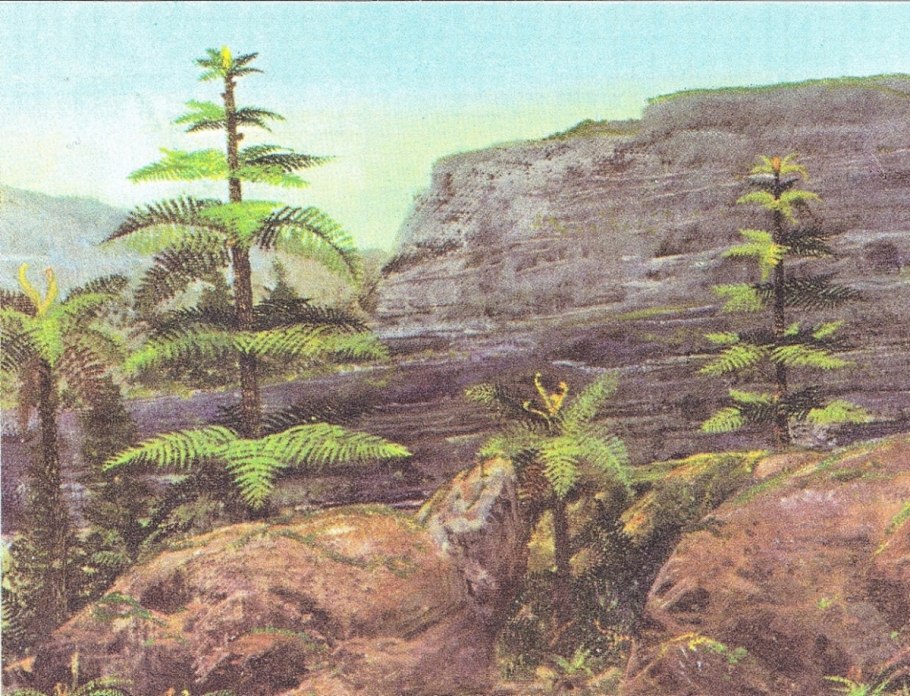 Хвойные мезозоя