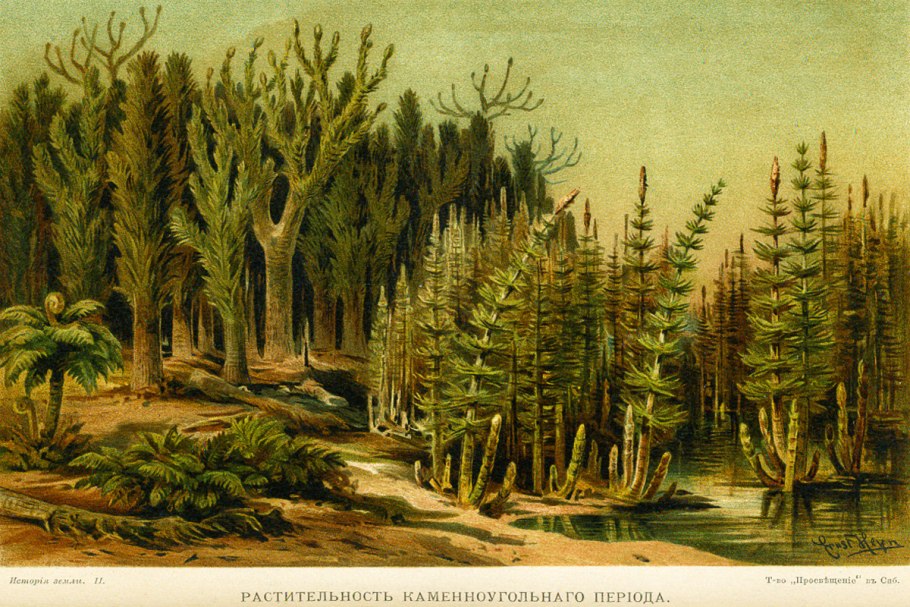 Плауны Палеозойская Эра