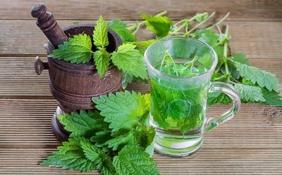 Крапивный настой