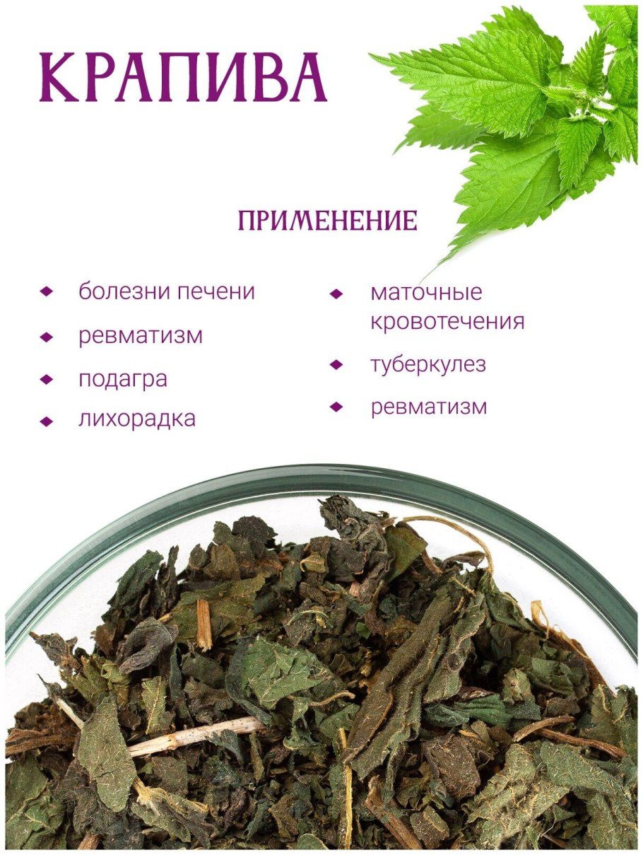 Крапива чай Графика