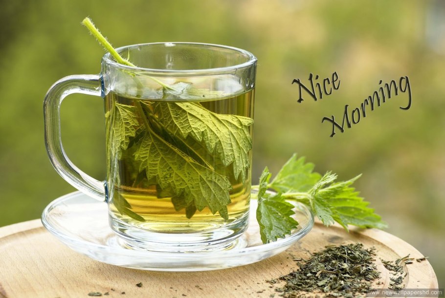 Крапивы трава "травы Алтая"