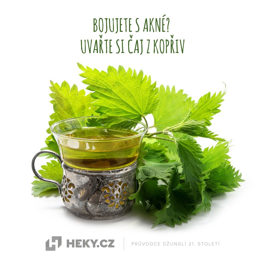 Крапива фитотерапия