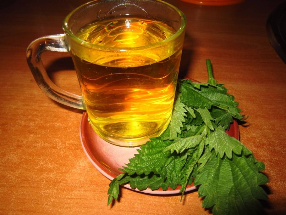 Крапива двудомная отвар