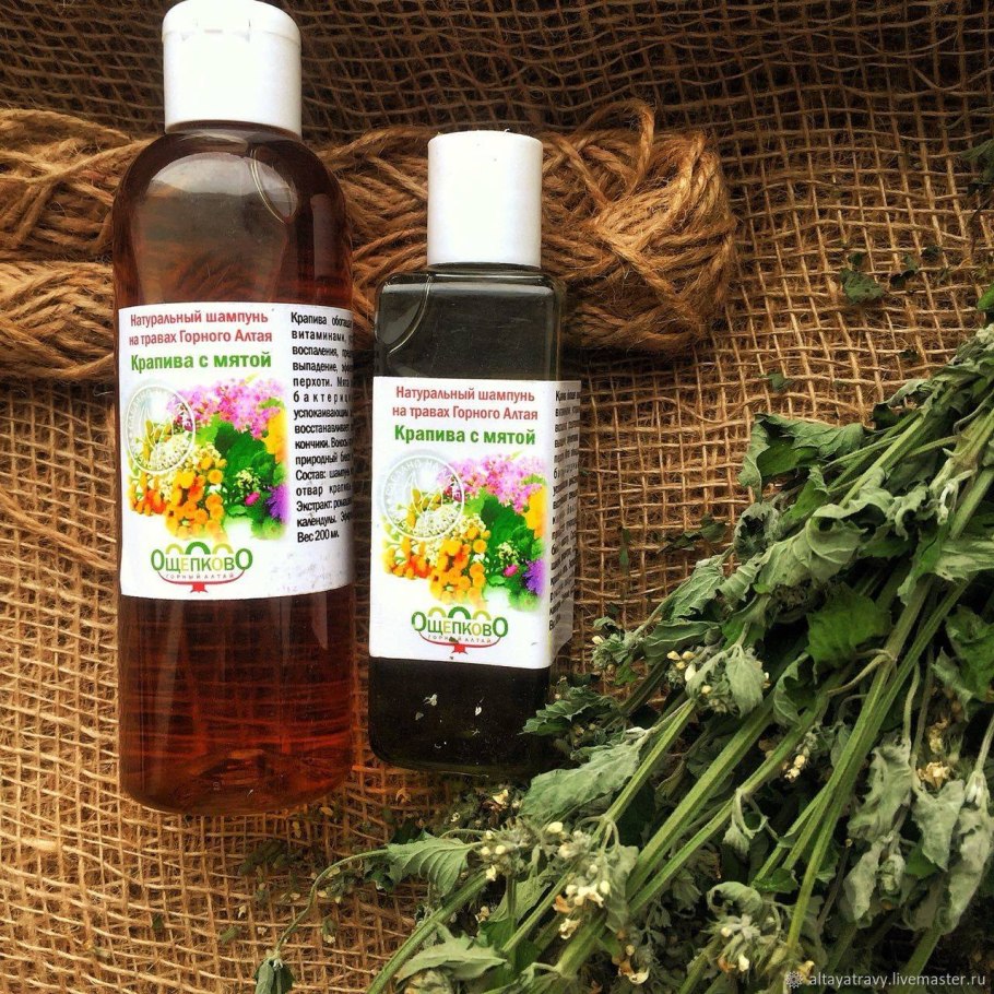 Крапива двудомная чай