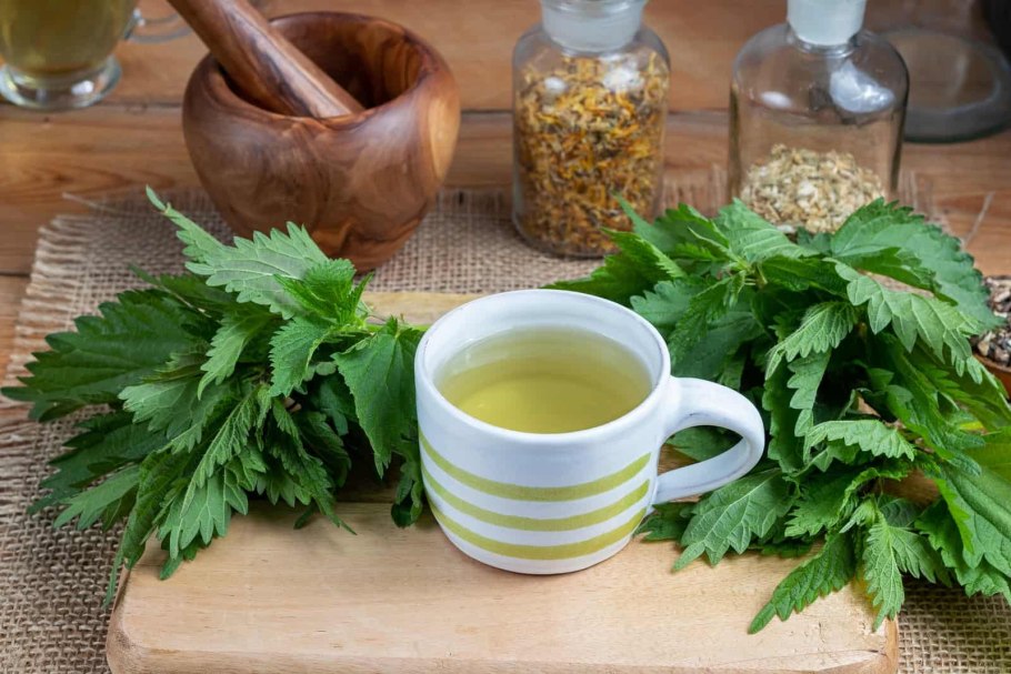 Крапива фиточай