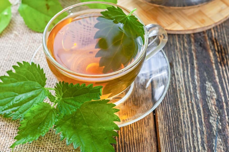 Крапива двудомная настой