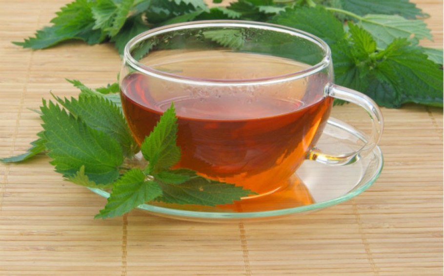 Листья крапивы сырье