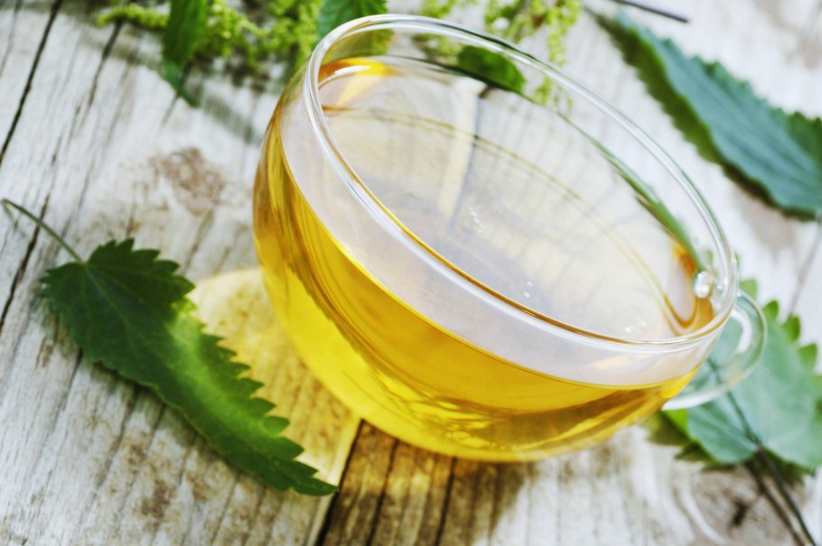 Крапива двудомная еда