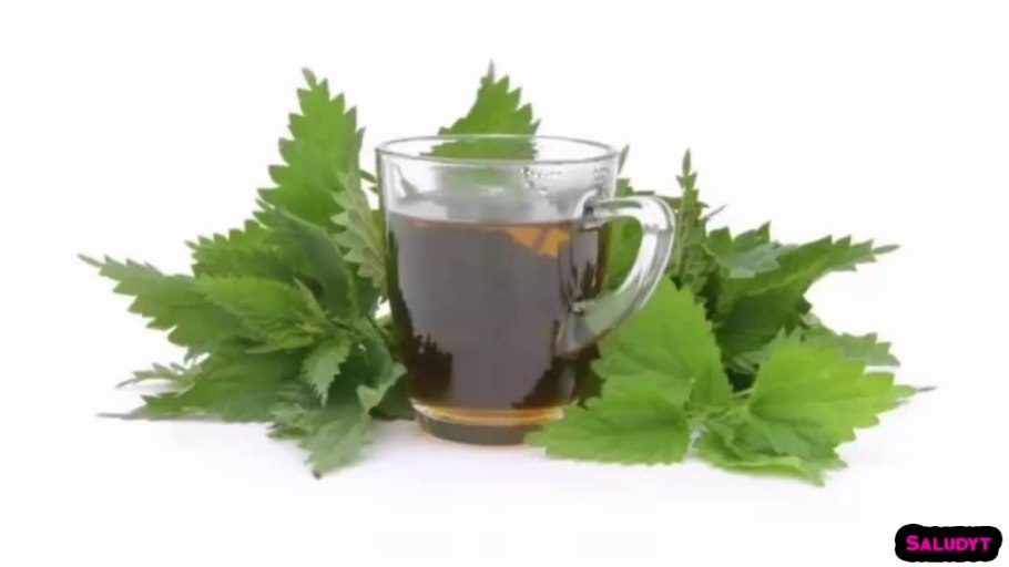 Крапива двудомная настой