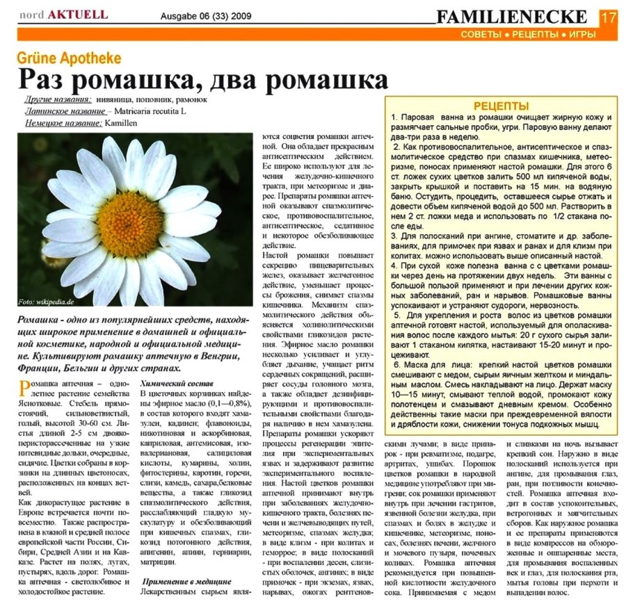 Ромашка лекарственная гербарий