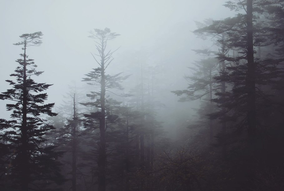 Форкс Сумерки