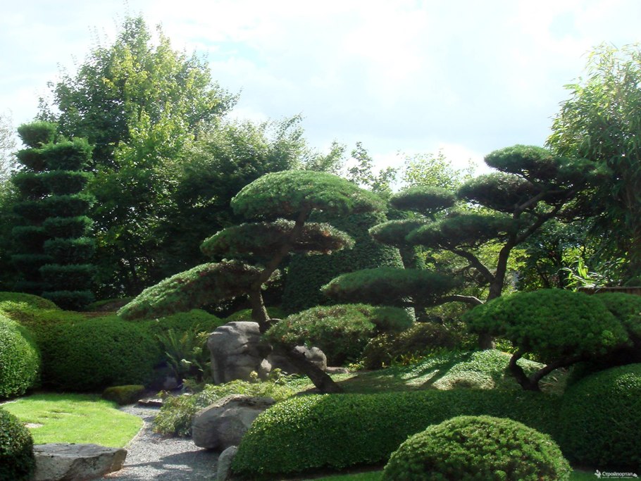 Парк ниваки