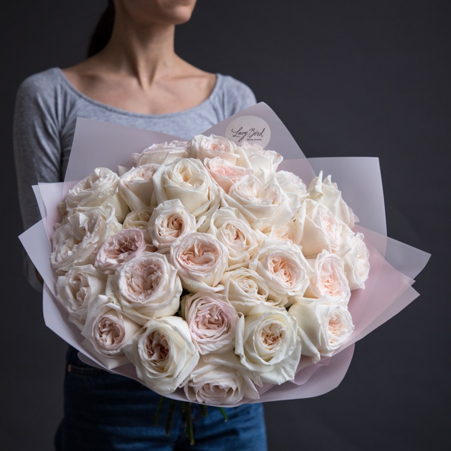 Роза Вайт Энджел