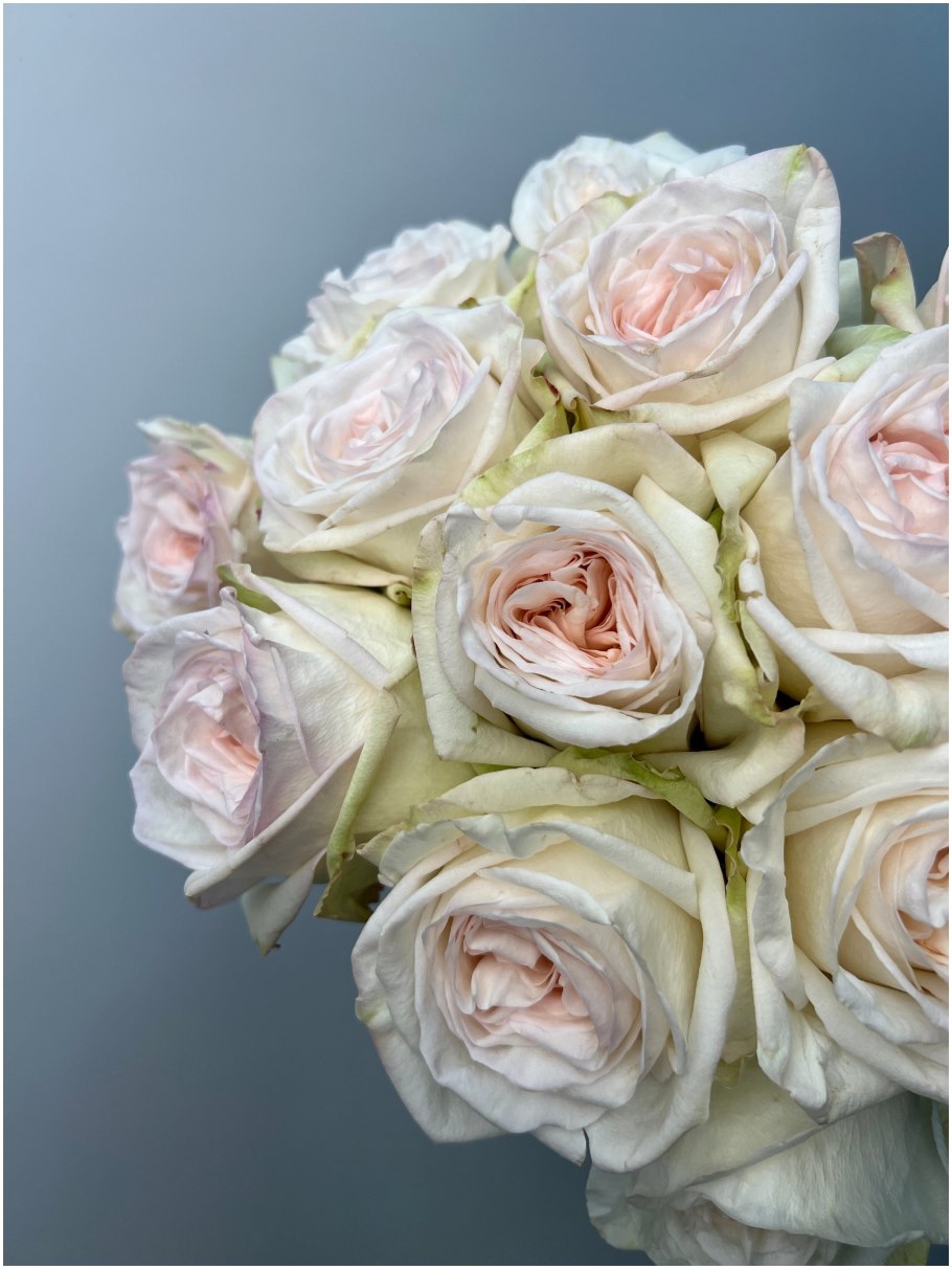 Роза о Хара