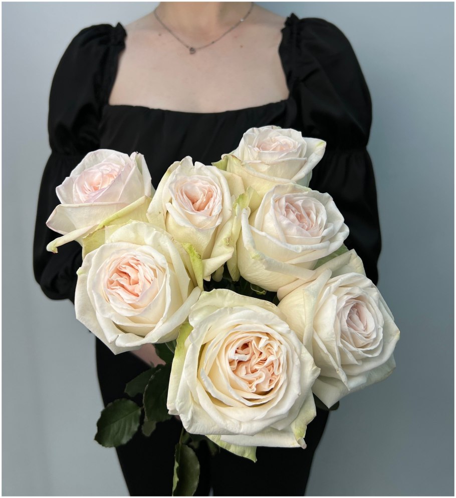 Вайт Охара пионовидная