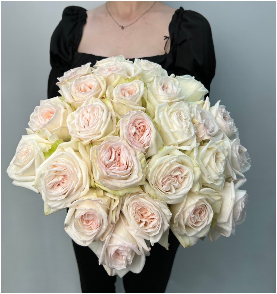 Парфюмированная роза пионовидная Вайт Охара