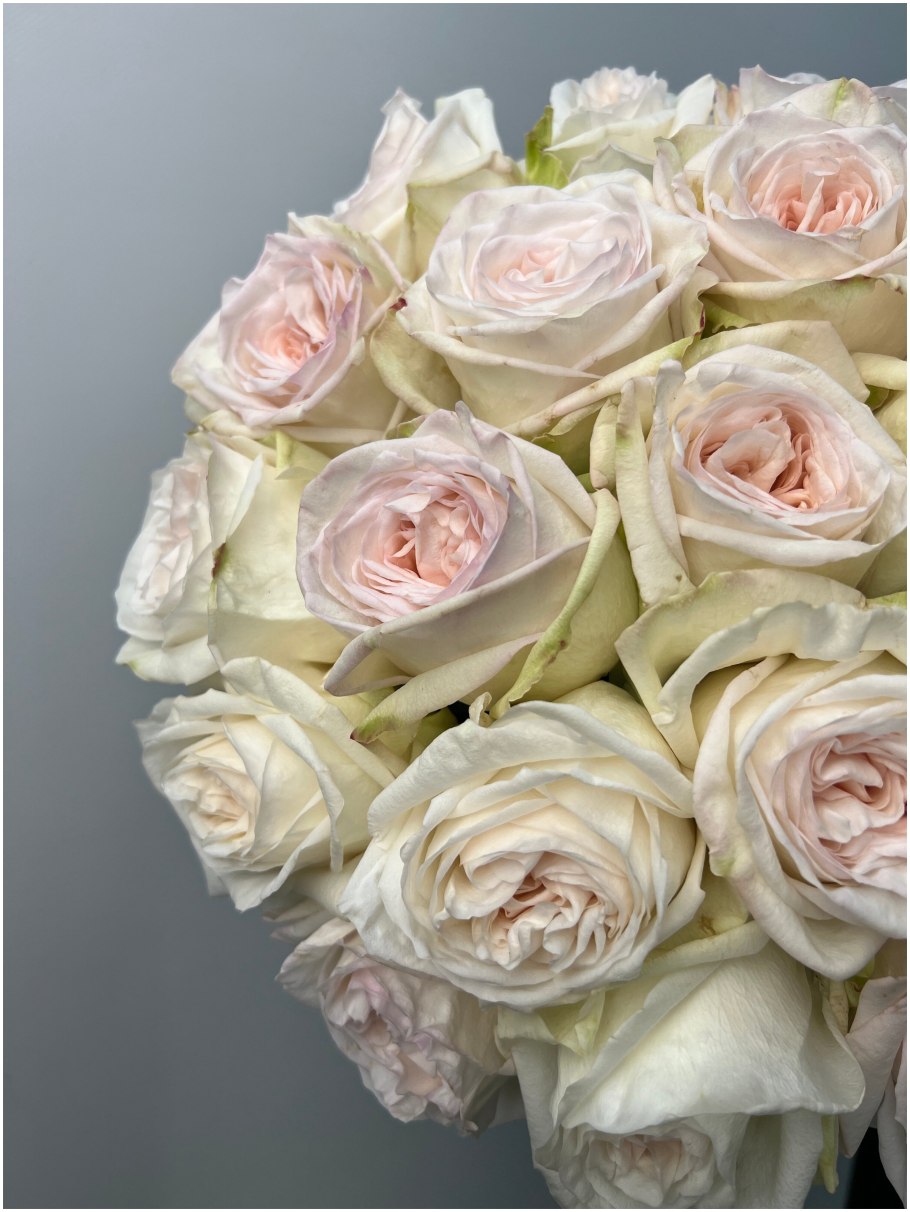 Дэвид Остин Уайт Охара