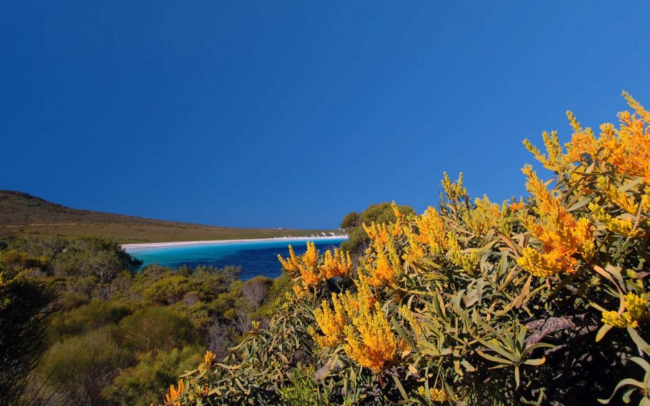 Нуитсия Австралия