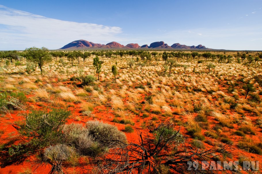 Природа нагорья Австралии