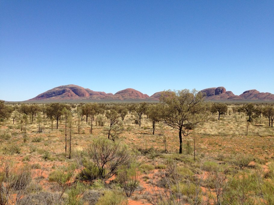 Австралийское царство Флора