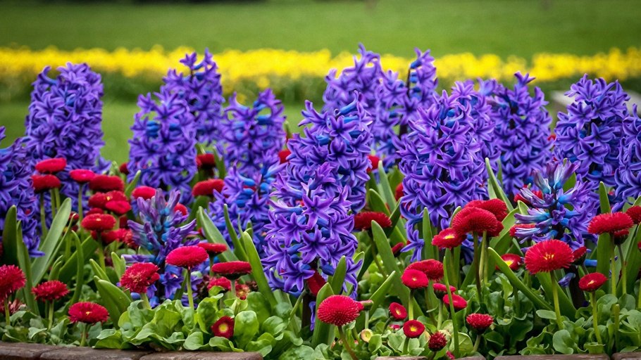 Клумба Флоксы астильба хризантемы