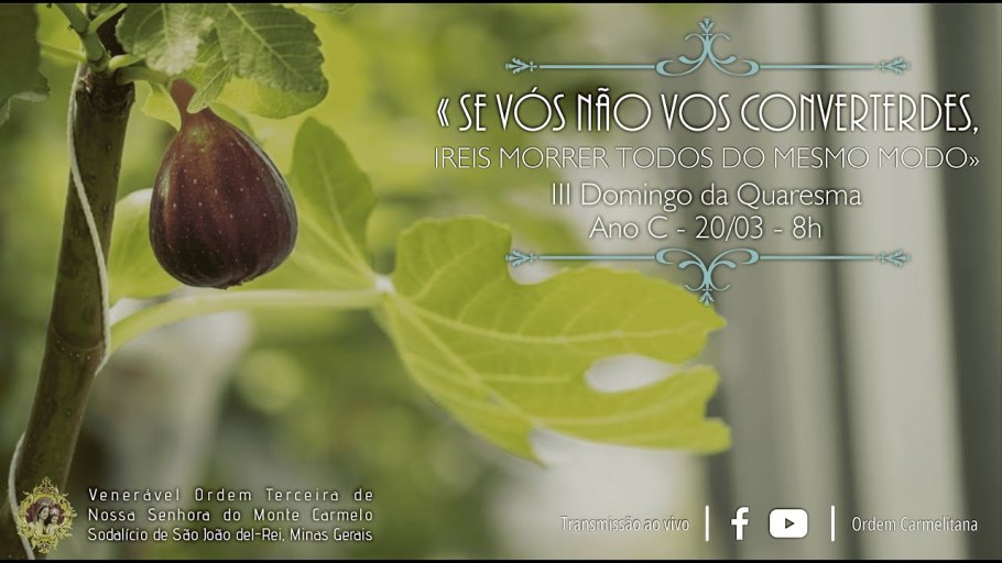 Укореняем инжир