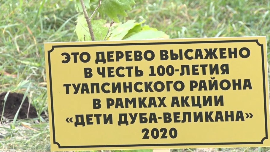 Царь-дуб Беларусь