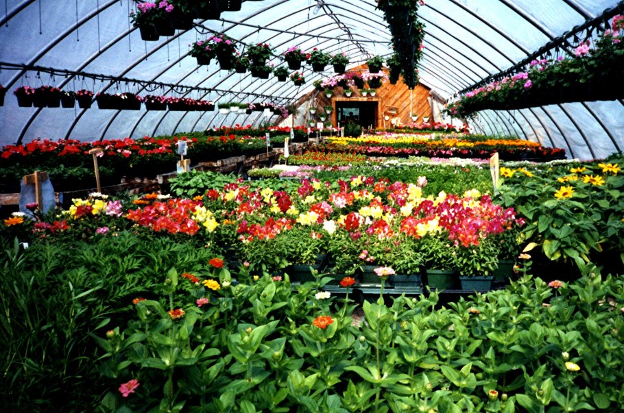 Теплица для цветов