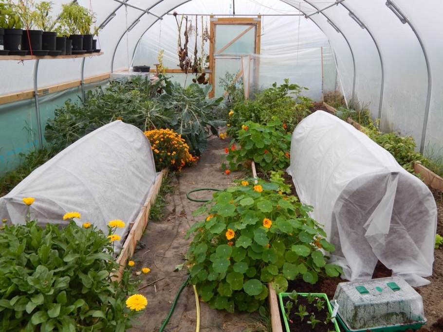 Сад огород парники