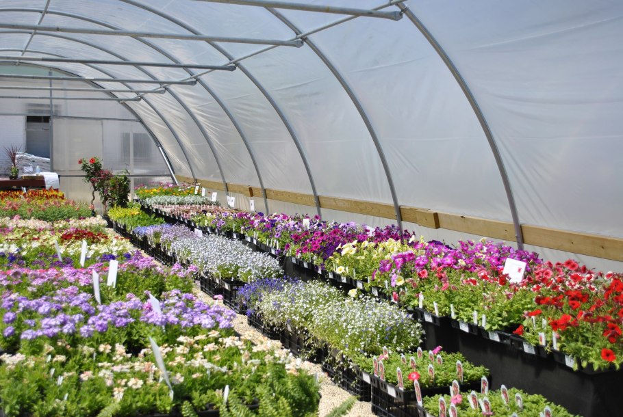 Цветочные теплицы