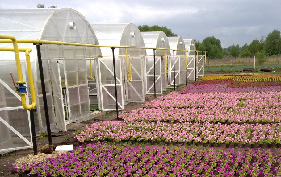 Сошки садовый центр в Липецкой области