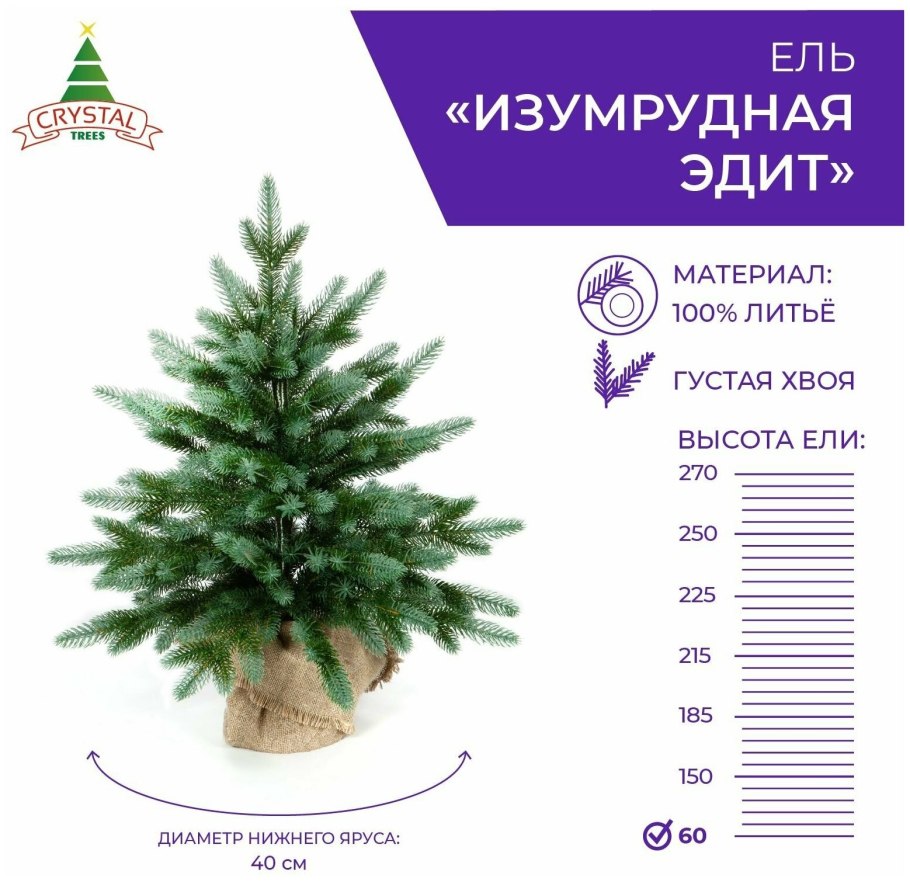 Хвойные ель колючая Мисти Блю