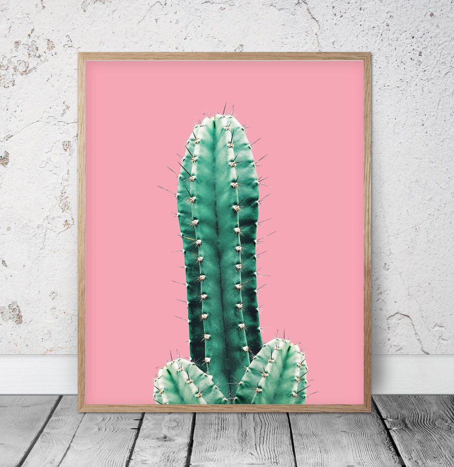 Опунция фиолетовая