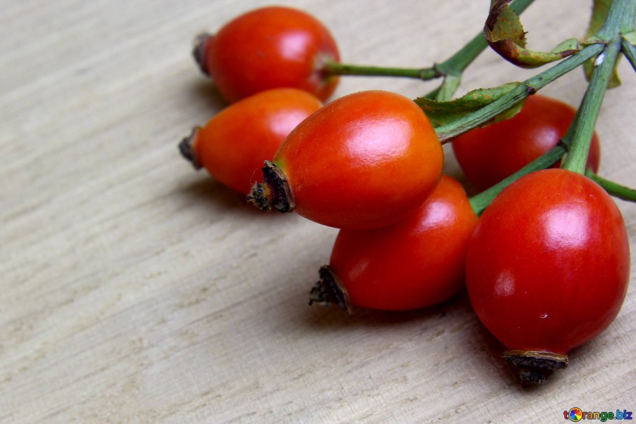 Зерна шиповника