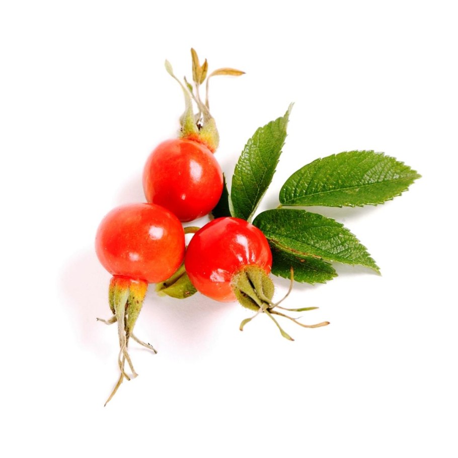 Даников. Целебный шиповник