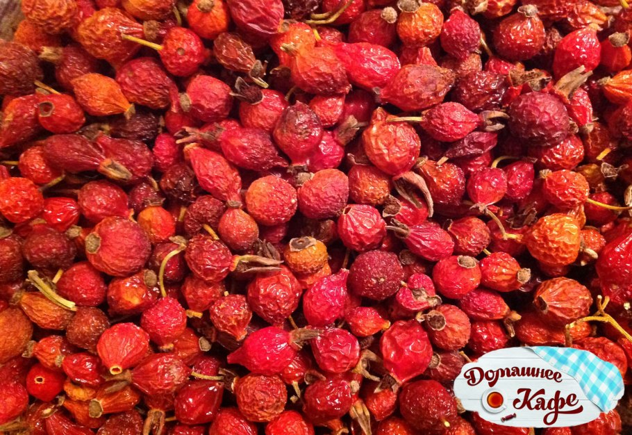 Шиповник Экстра