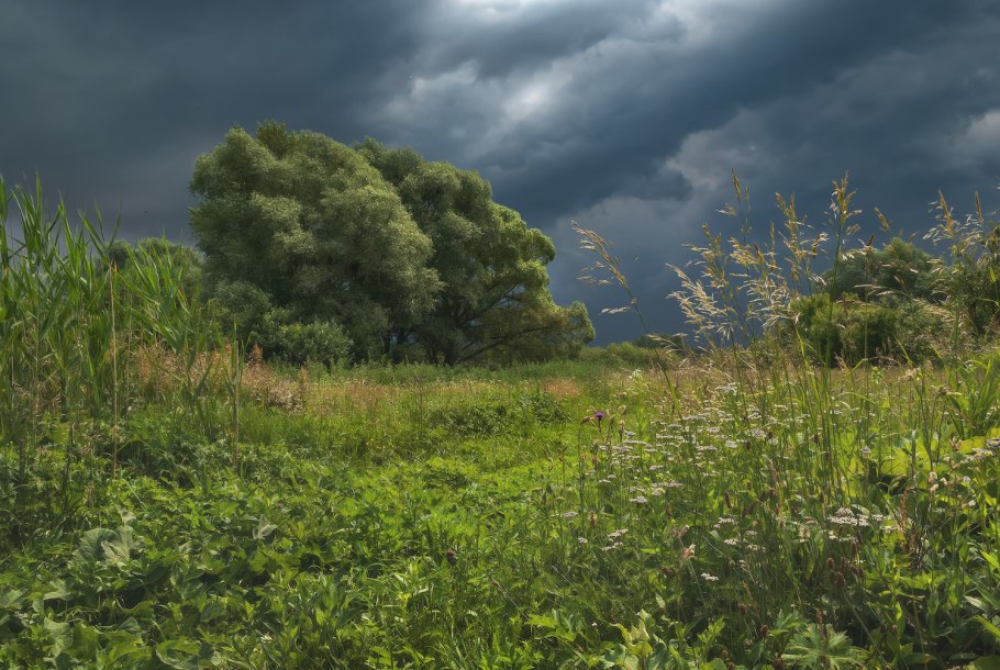 Пасмурный летний день